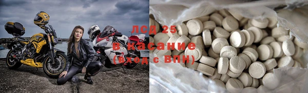 эйфоретик Чегем