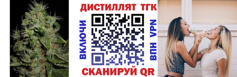 Купить где  Шахунья  ТГК концентрат 