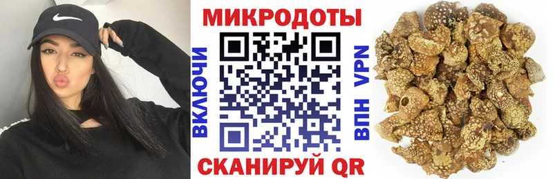 Купить закладки  Шахунья  Псилоцибиновые грибы Cubensis 