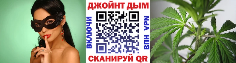 Бошки Шишки семена Шахунья